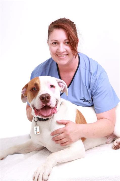 the berwick village vet|HOME .